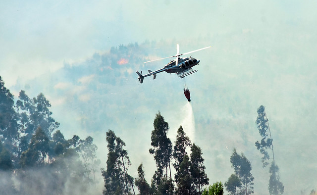 Decretan Alerta Roja para las comunas de Valparaíso y Casablanca por incendio forestal