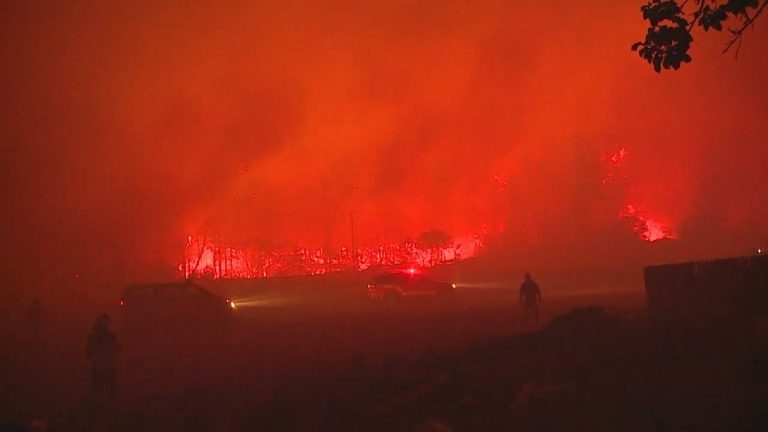 Incendio en Valparaíso consumió 7 casas y obligó a evacuar a vecinos de Rodelillo y Cerro Los Placeres