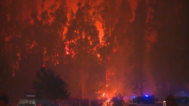 Onemi reporta que 12 incendios forestales se mantienen activos