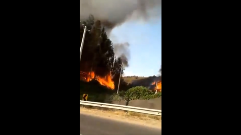 Onemi decreta alerta roja por incendio forestal en Quillota