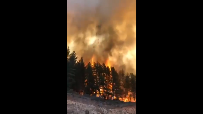 Onemi declara alerta roja para Valparaíso y Casablanca por incendio forestal en reserva Lago Peñuelas