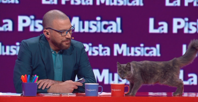 ¡Llegó el Rosco! Mascota de Pasapalabra sacó risas al interrumpir grabación del programa
