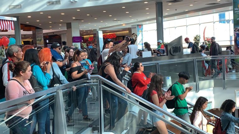 “Qué vergüenza estar comprando cuando el pueblo está luchando”: Manifestantes protestan en mall de Viña del Mar