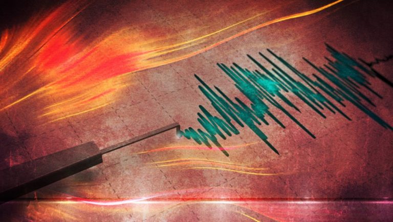 Temblor de 4,8 Richter se registra en la Región de Coquimbo: SHOA descarta tsunami