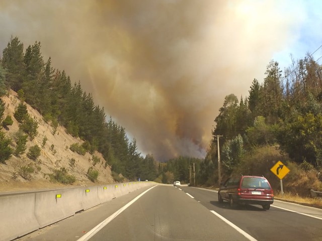 Alerta roja en Valparaíso por incendio forestal en localidad de Placilla