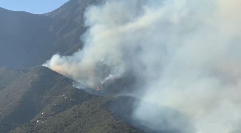 “Afortunadamente estamos todos sanos”: El relato del hombre que perdió su casa en incendio en El Canelo