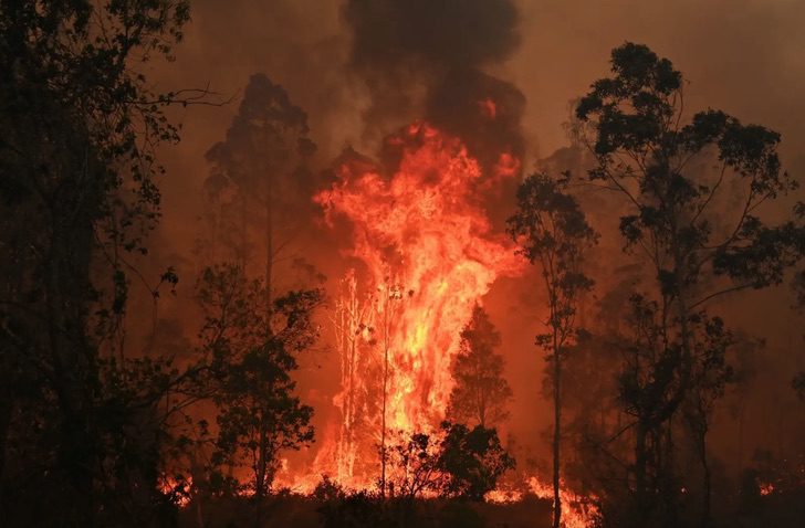 Australia declara estado de emergencia en Nueva Gales del Sur por peligrosos focos de incendio