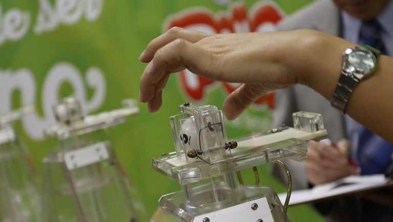 Polla anuncia los últimos ganadores de $5 millones