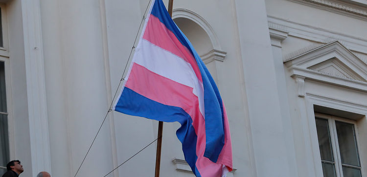 Movilh pide aplicar Ley Zamudio: En prisión preventiva detenido acusado de golpear a mujer trans