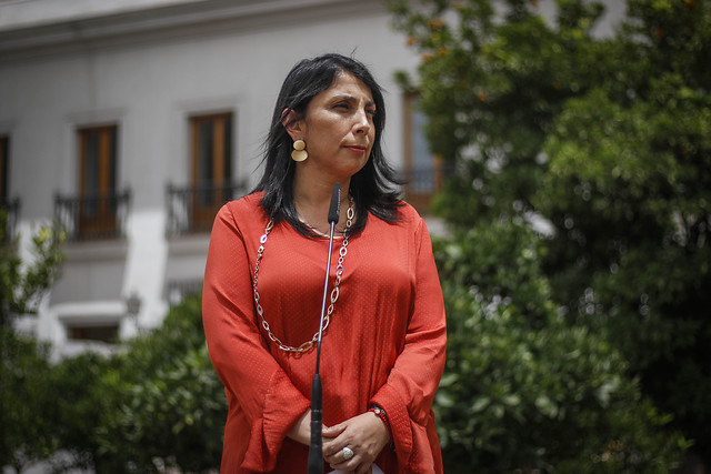 Gobierno impulsará campaña para incentivar participación en proceso por nueva Constitución