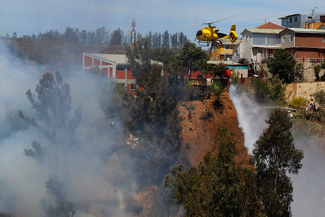 3 se mantienen activos: Incendios forestales han consumido 248% más de hectáreas durante este año