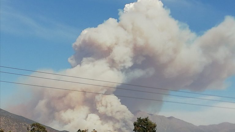 Incendio forestal de gran magnitud se produce en San José de Maipo