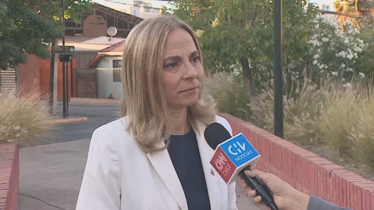 Ministra Plá: “Todavía hay un Chile que justifica la violencia contra la mujer”