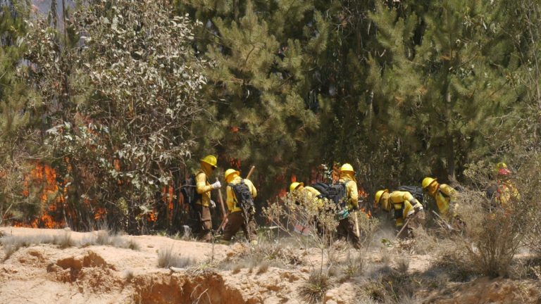 Decretan alerta roja en Quillota por incendio forestal cercano a casas