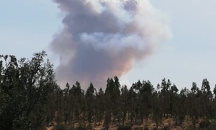 Decretan Alerta Roja en Navidad por incendio forestal que amenaza viviendas