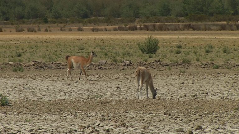 Lago Peñuelas estaría llegando a un 