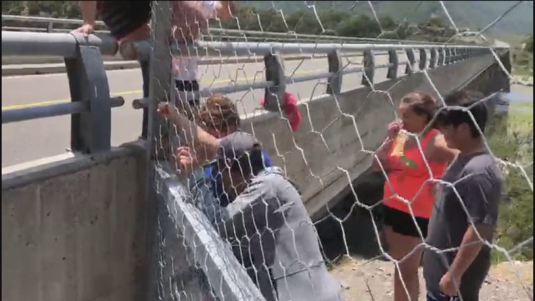 Reja impide el paso de vecinos a Río Melado: Dueño de terreno arriesga hasta 100 UTM de multa