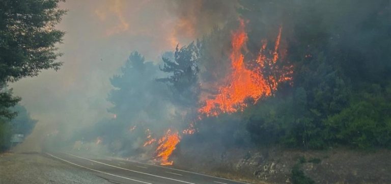 40 hectáreas consumidas por el fuego en Quillón: Nuevo foco de incendio azota a la región de Ñuble