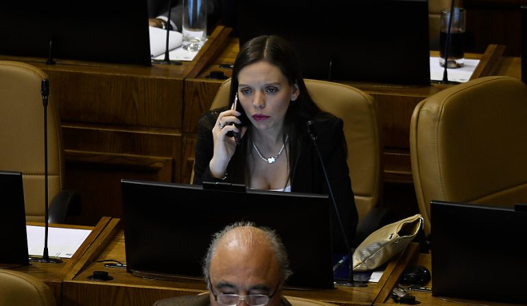 Formalizarán a acusado de realizar rayados con amenazas de muerte contra Camila Flores