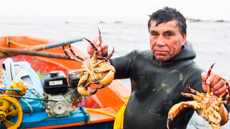 Pescadores artesanales, gobierno y privados presentan inédito proyecto de trazabilidad