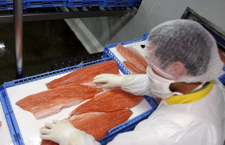 Seremi de Salud emite alerta por presencia de bacteria en salmones y ordena retirarlos del mercado