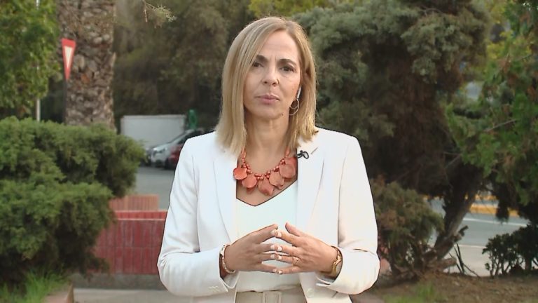 Ley Gabriela: Ministra Plá explica que femicidio por motivos de género se incorporó 