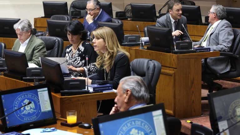 Matrimonio igualitario: Senadores votaron a favor de la idea de legislar el proyecto