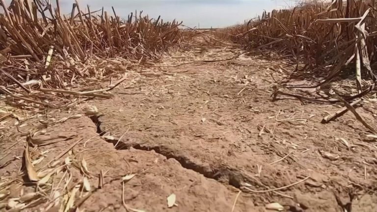 Las urgentes respuestas para la crisis climática se debaten en Congreso Futuro 2020