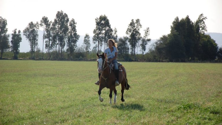 ¿Te imaginas a un humano intercambiando roles con un novillo? Así es la nueva película de Mayte Rodríguez