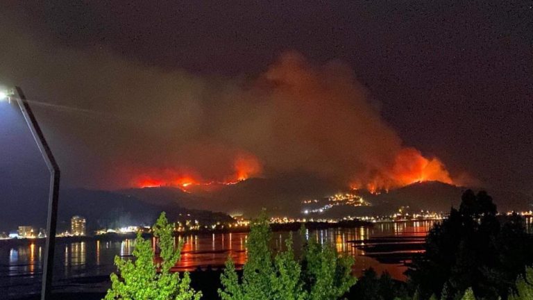 Chiguayante: Enorme incendio consume al menos 890 hectáreas y mantiene a la zona en alerta roja