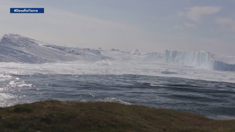 La increíble hazaña del nadador que cruza las gélidas aguas de la Antártica