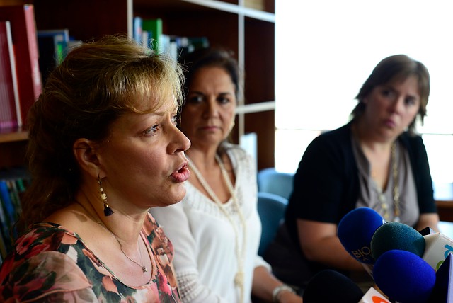 Partidos deberán entregar por separado al CNTV videos de organizaciones civiles para franja del plebiscito