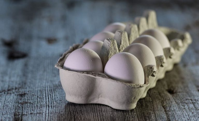 Preocupación por aumento de intoxicación por salmonella: Sólo en enero hubo 53 casos