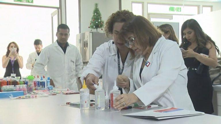 Seremi de Salud realizó intensa fiscalización de útiles escolares