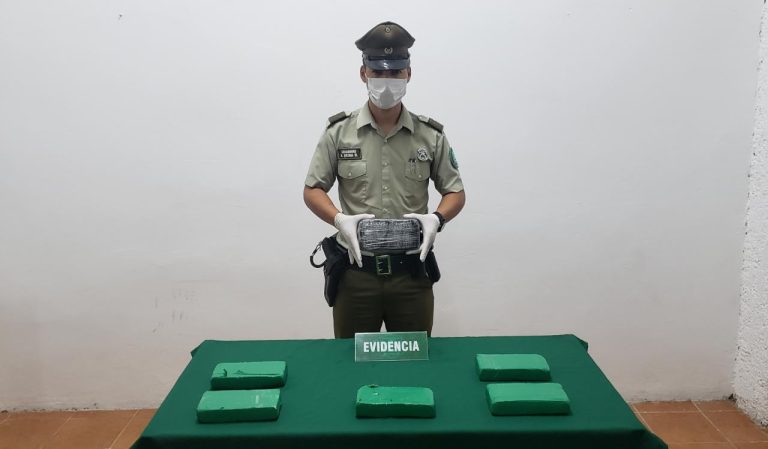 Ya van 124 detenidos en 2020: Carabineros bloqueó cadena de transporte de drogas que viajaba a Santiago