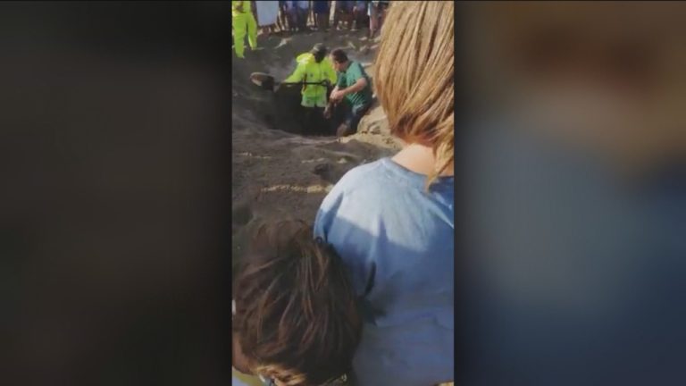 Joven cavó un hoyo en la playa y terminó atrapado en la arena en Zapallar