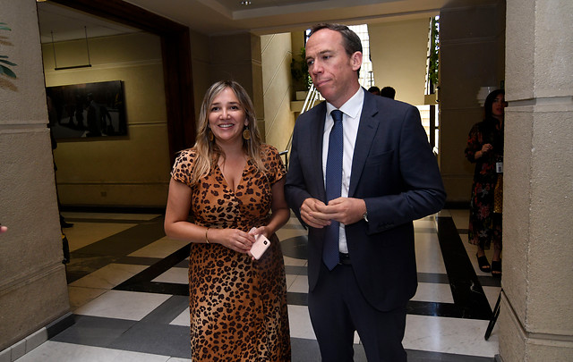 Diputados UDI buscan que quienes 