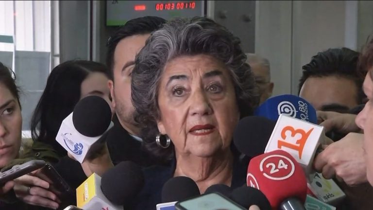 Aseguró que ya hay algunos identificados: Alcaldesa Reginato presentó querella por destrozos en Viña