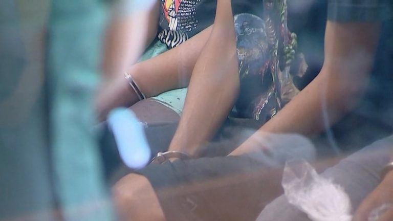 Jóvenes detenidos en consultorio de Puente Alto fueron formalizados por Ley Antisaqueos