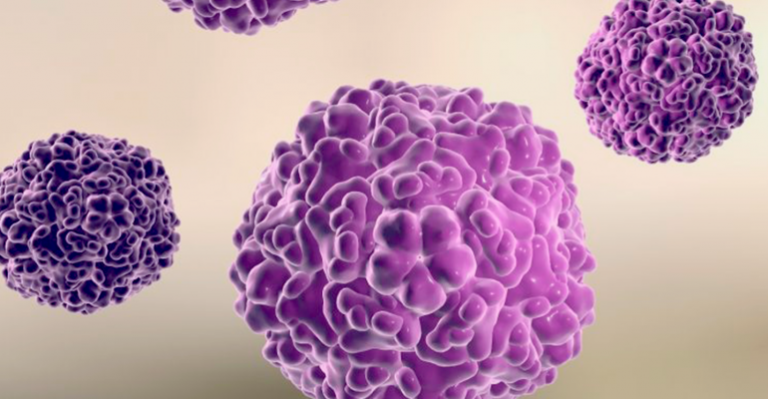 ¿Qué es el arenavirus? Preocupación por rebrote de peligroso virus en Brasil