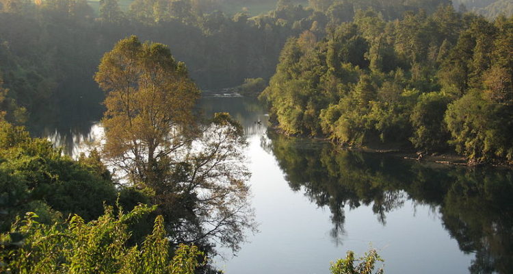 Vecinos de comuna de Valdivia interpondrán acciones legales contra privado que cerró acceso a playa de Chamil