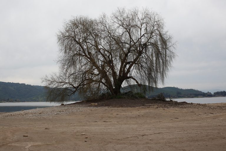 António Guterres, secretario general de la ONU: “No tenemos tiempo si queremos evitar una catástrofe climática”