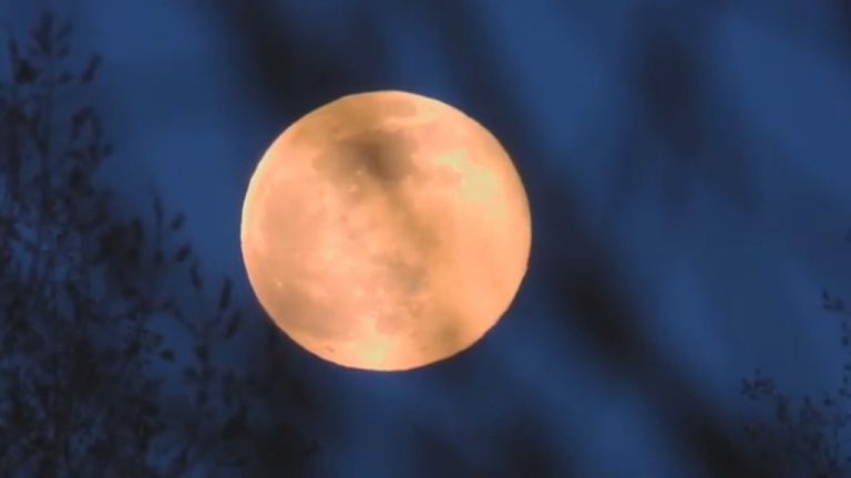 Superluna: ¿Por qué se ve más cerca y más brillante?