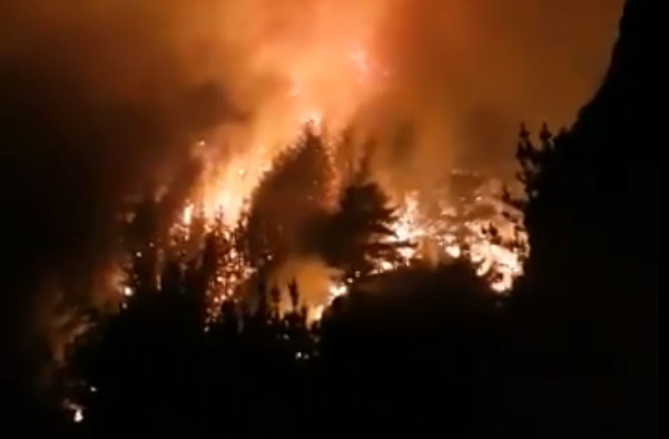 Decretan alerta roja en Constitución por incendio forestal