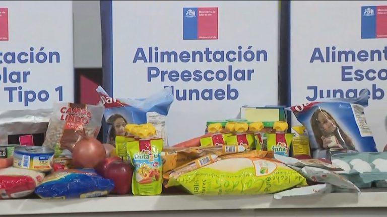 Junaeb entregará canastas con alimentos para los estudiantes mientras dure la suspensión de clases