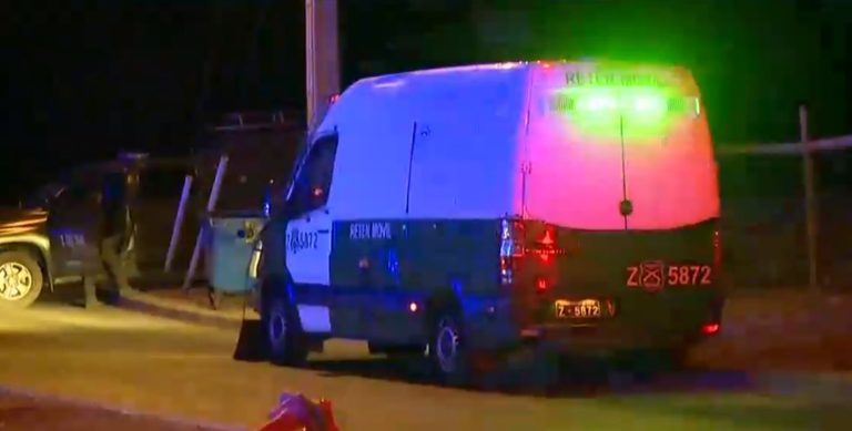 Intensa búsqueda de niño con autismo que se perdió en el Bosque Panul