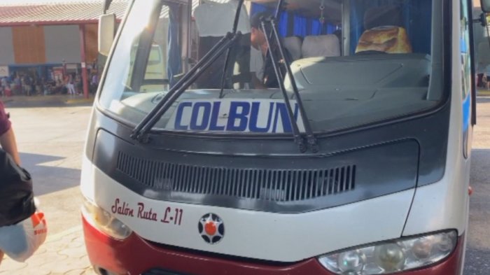 Brutal golpiza de chofer de bus a mascota de pasajero