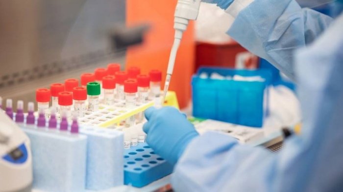 Interferón Alfa 2B: ¿Es la cura contra el Coronavirus?