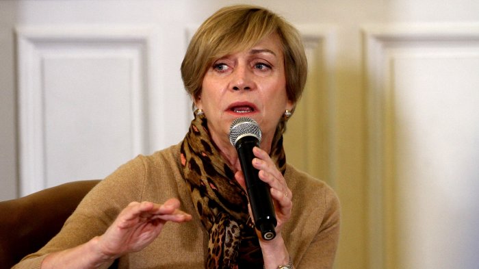 Evelyn Matthei por permisos de circulación: 