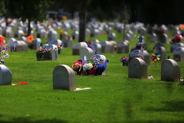 Muertes por coronavirus: Histórica cifra llega al 1%